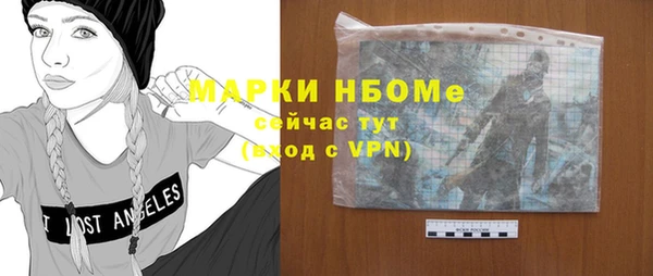 индика Арсеньев