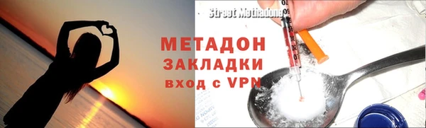 индика Арсеньев