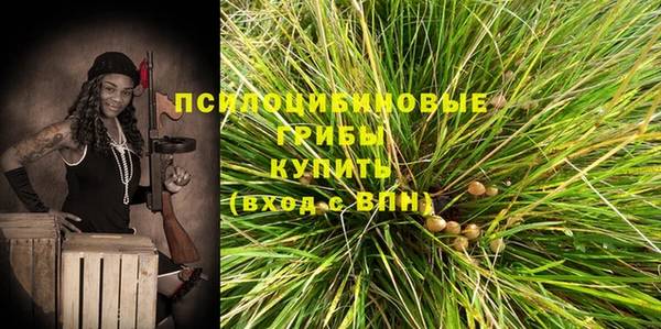 эйфоретик Армянск