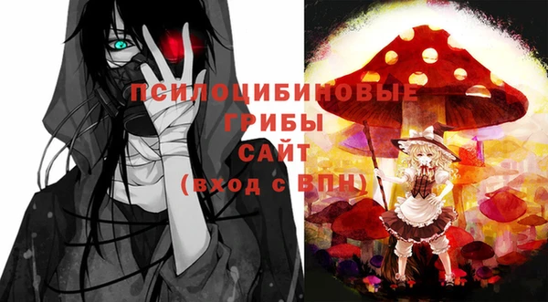 индика Арсеньев
