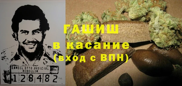 индика Арсеньев