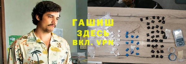 индика Арсеньев
